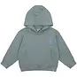 Daily7 Trui hoodie backprint oversized (stone green)