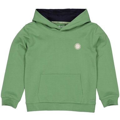 Trui hoodie Bert (green)