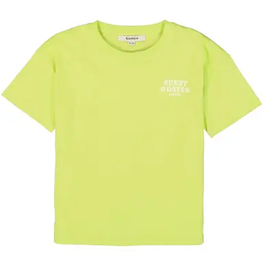 T-shirt (wild lime)
