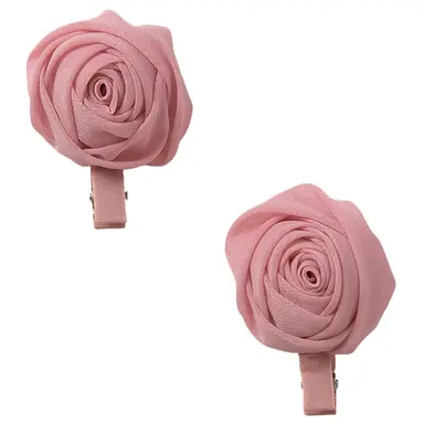 Twee paar haarspeldjes (blush)