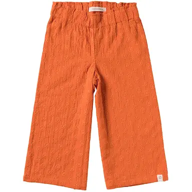 Broek Bar (apricot brandy)