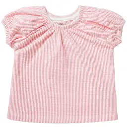 Top Claremont (camelia rose)