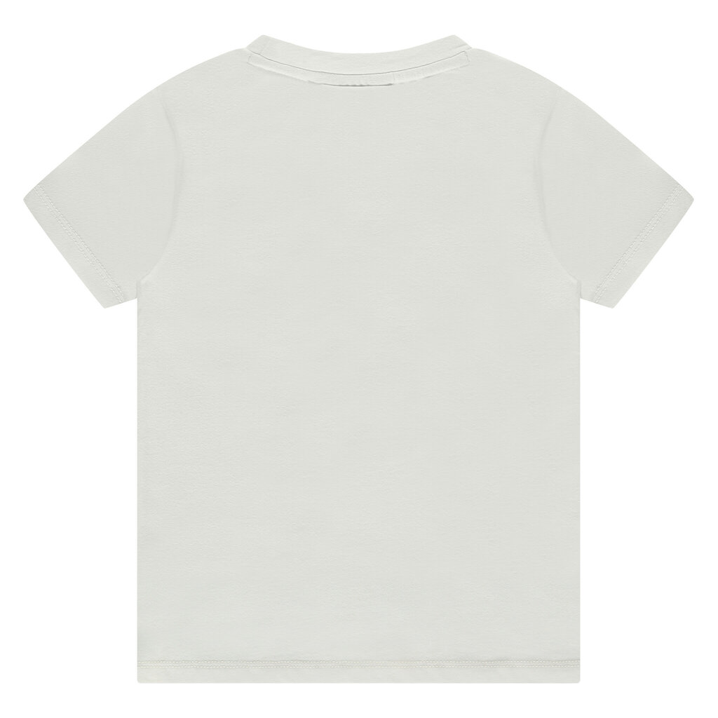 T-shirt (milk)