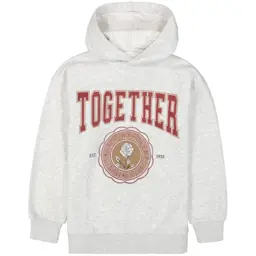 Trui hoodie (grey melee)