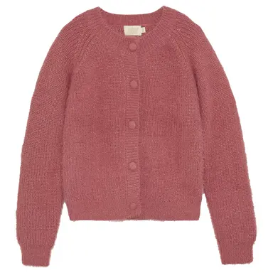 Gebreid vest (mesa rose)