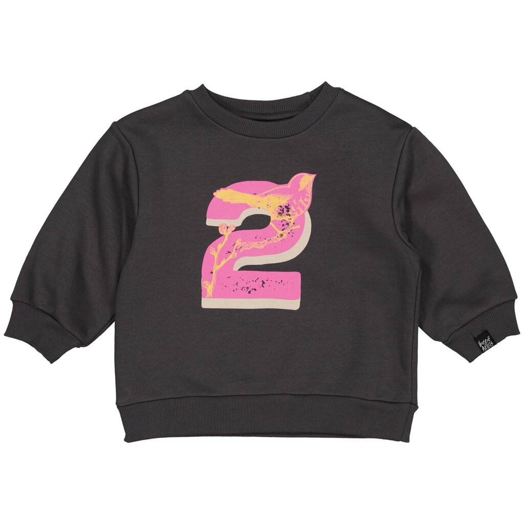 Verjaardagstrui "2" in kadoverpakking (dark grey)