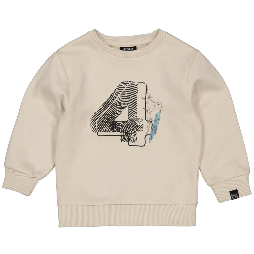 Verjaardagstrui "4" in kadoverpakking (kit)