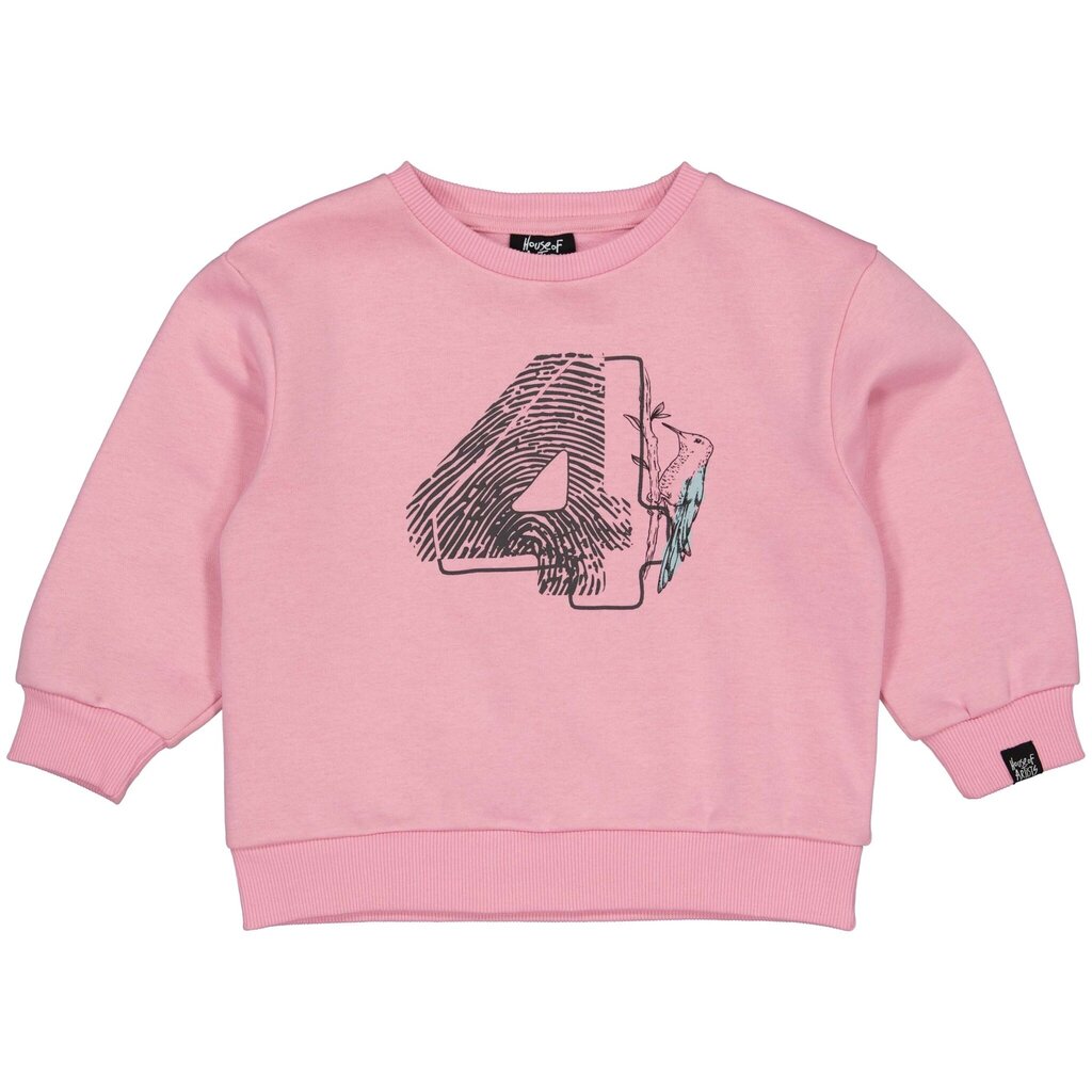 Verjaardagstrui "4" in kadoverpakking (old pink)