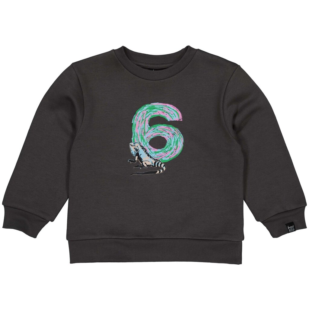 Verjaardagstrui "6" in kadoverpakking (dark grey)