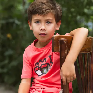 T-shirt Feis (vintage red)