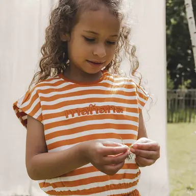 Top (burnt orange stripe)