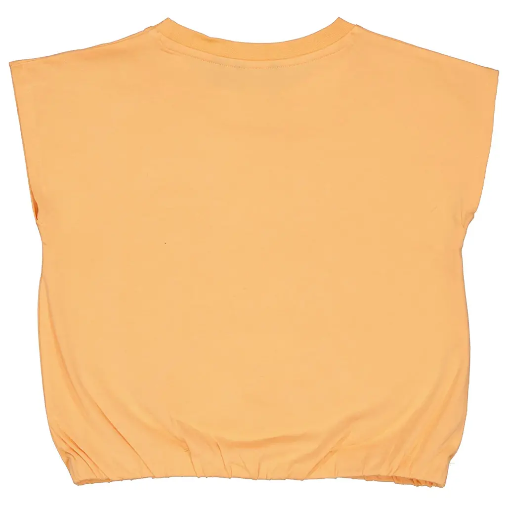Top Faya (salmon)