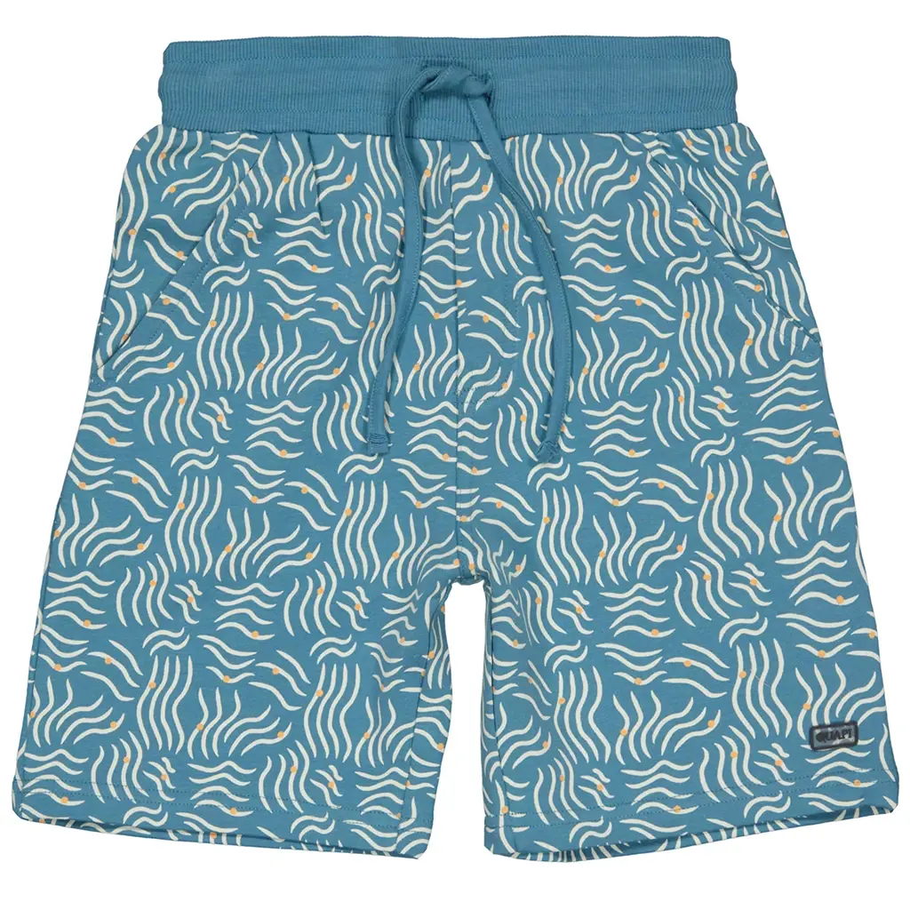 Korte broek Ferron (aop blue sketch)