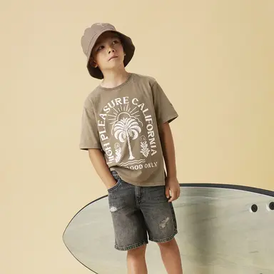 T-shirt Jarvu (walnut)