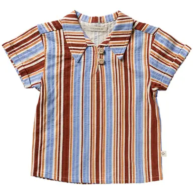 T-shirt (multicolor)