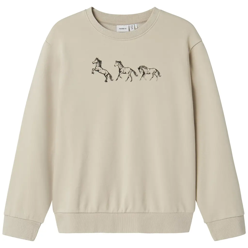 Trui sweat Kassia (peyote)