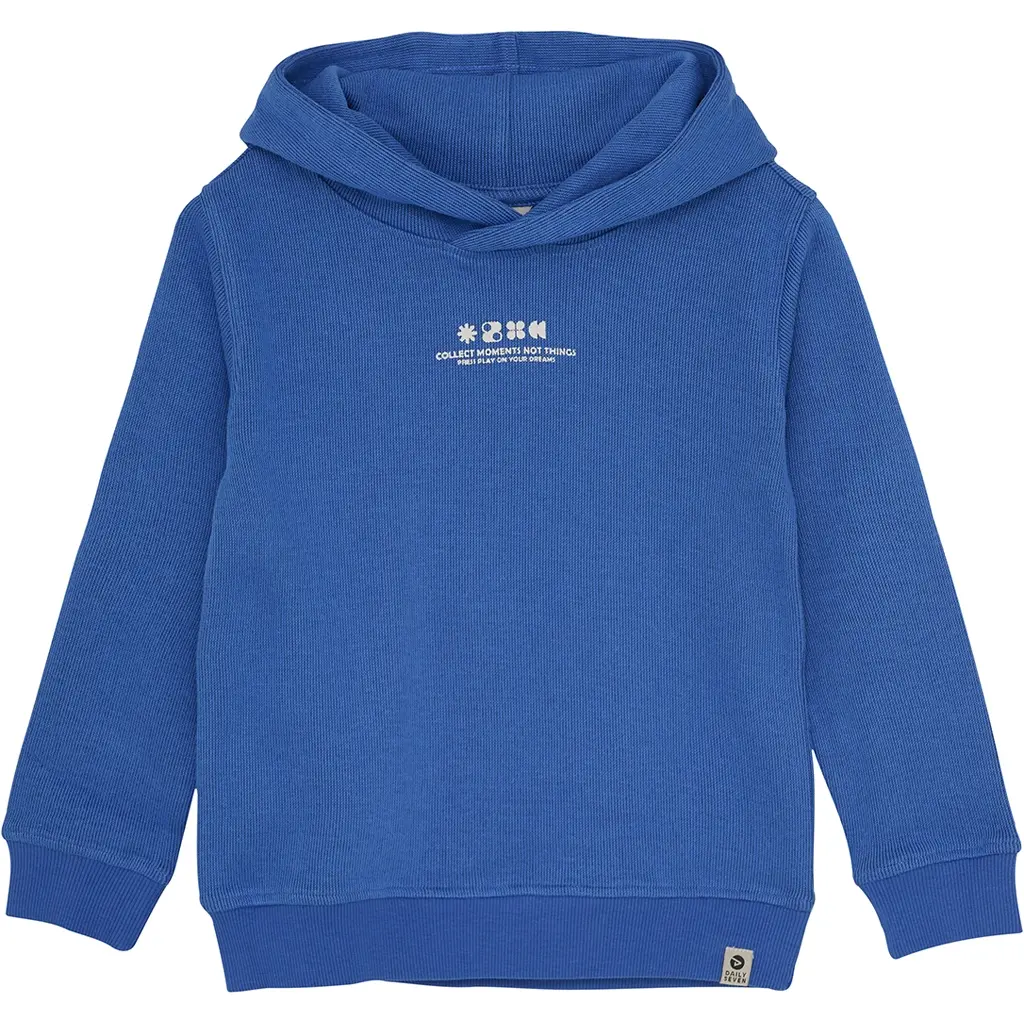 Trui hoodie bakcprint (dusty kobalt)