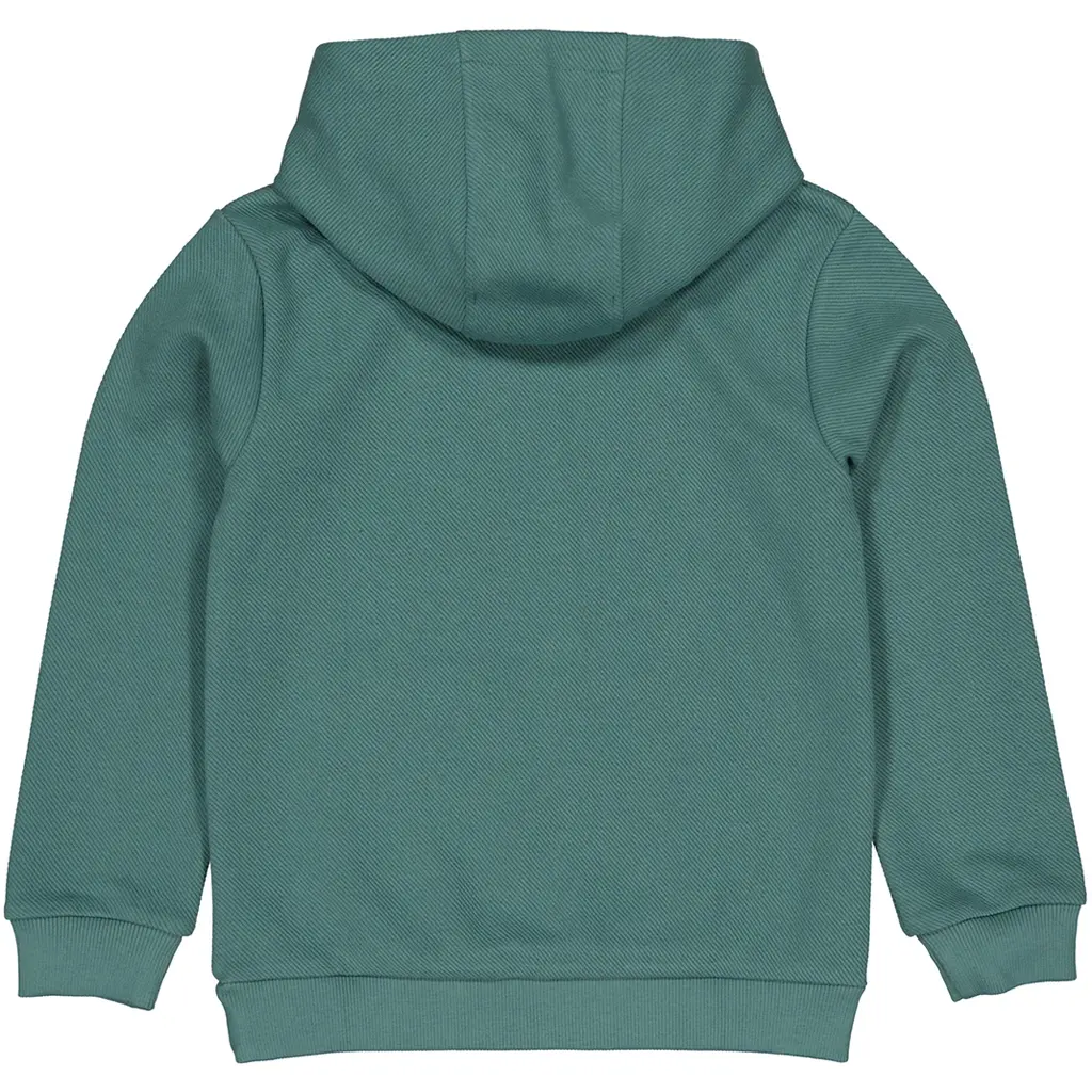 Trui hoodie Hayden (green)