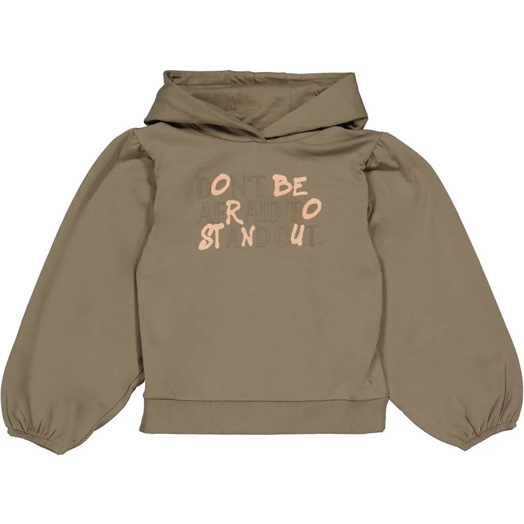 Trui hoodie Hemi (light brown)