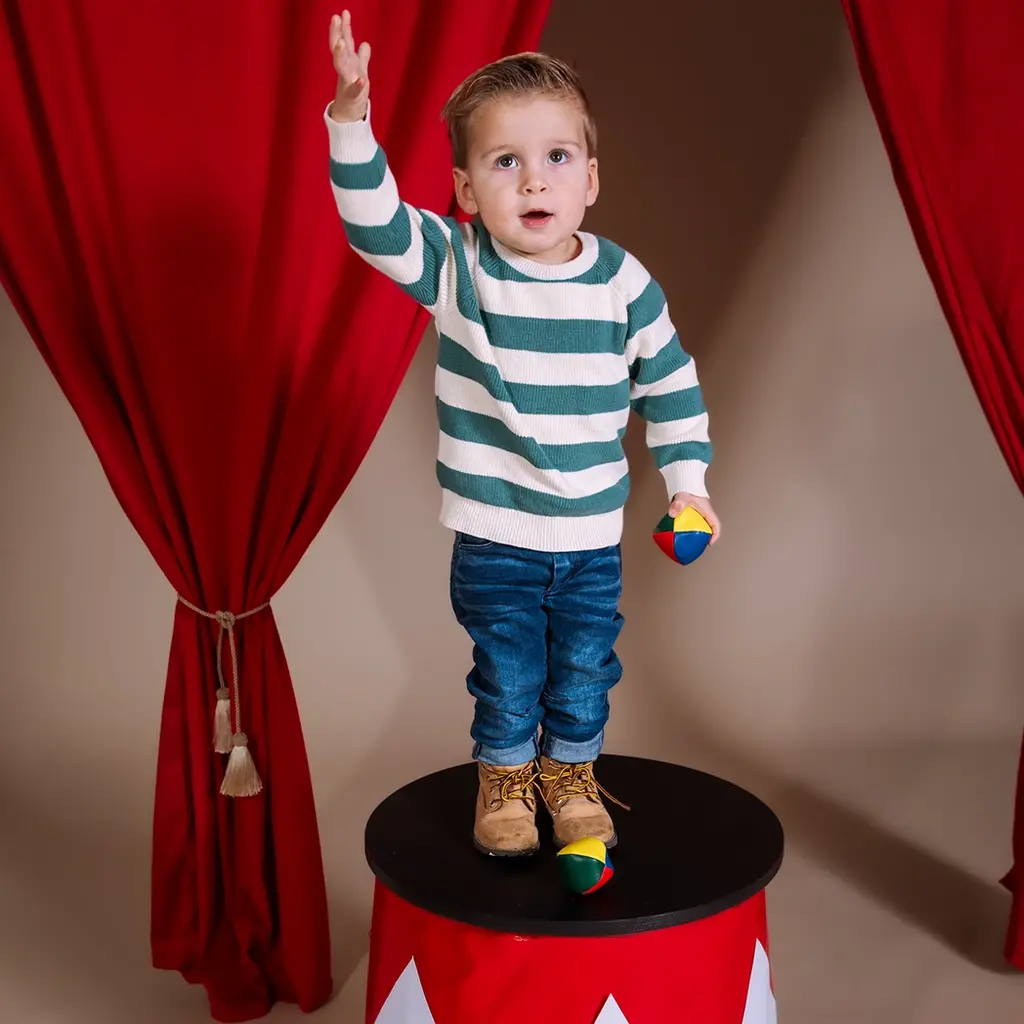 Gebreide trui Ingmar (aop green stripe)