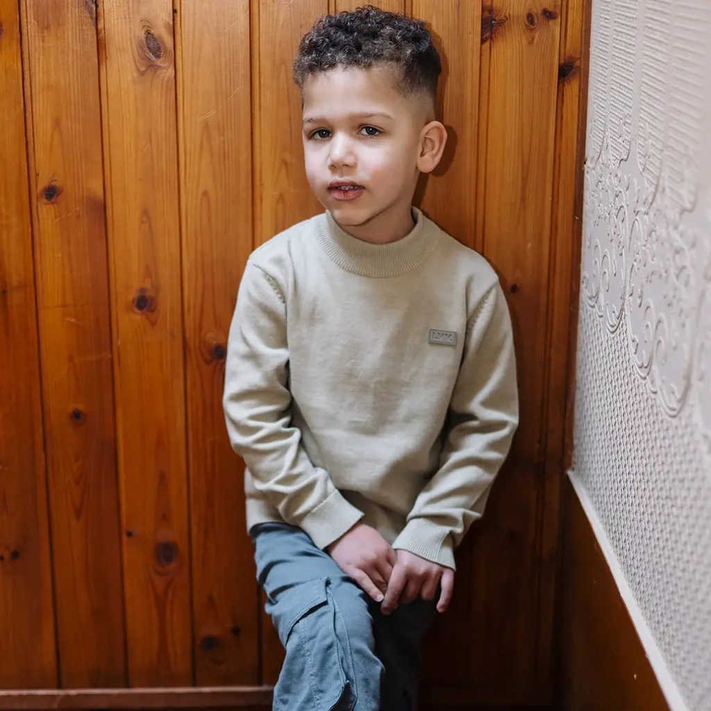 Fijn gebreide trui Tony (sage green)