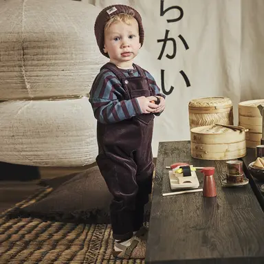 Tuinbroek corduroy Joakim (crushed cloves)