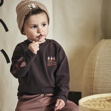 Trui sweat Raoul (brownstone)