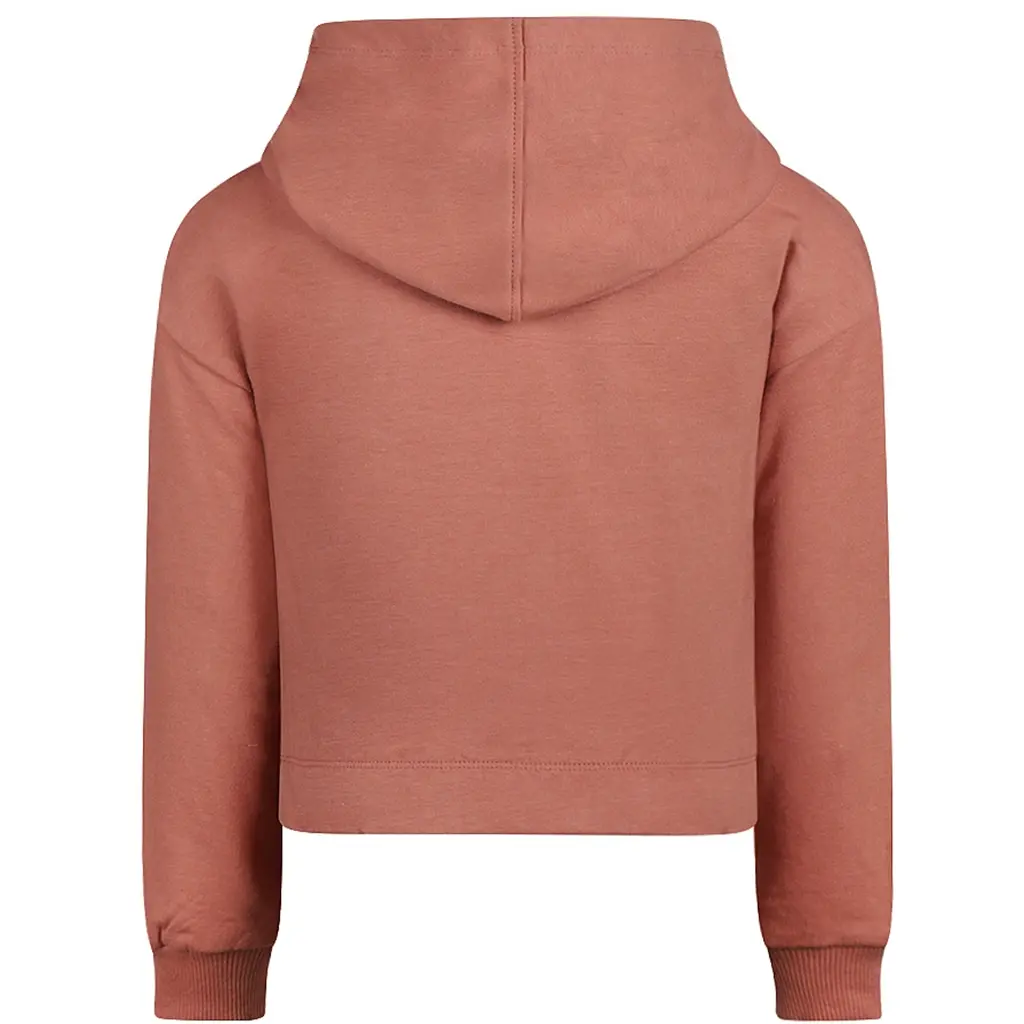 Trui hoodie (dark old pink)
