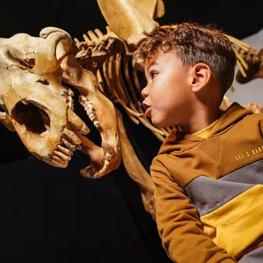 Trui hoodie (mustard)