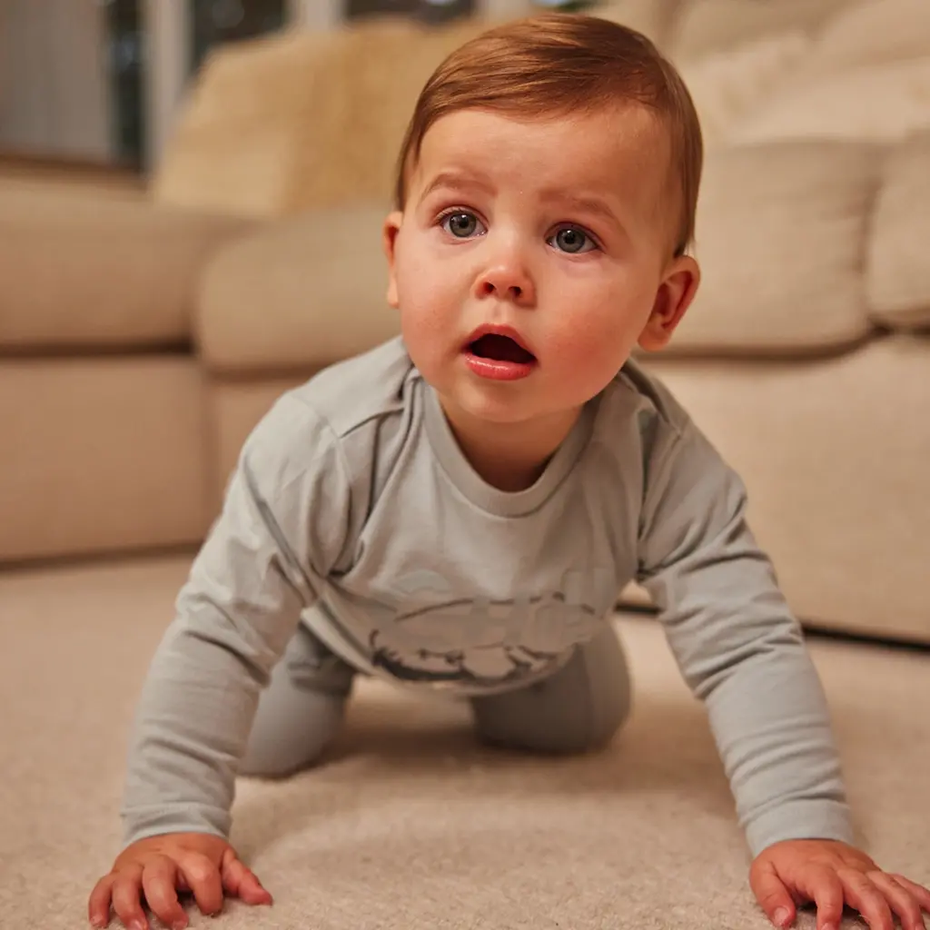 Longsleeve (faded blue)