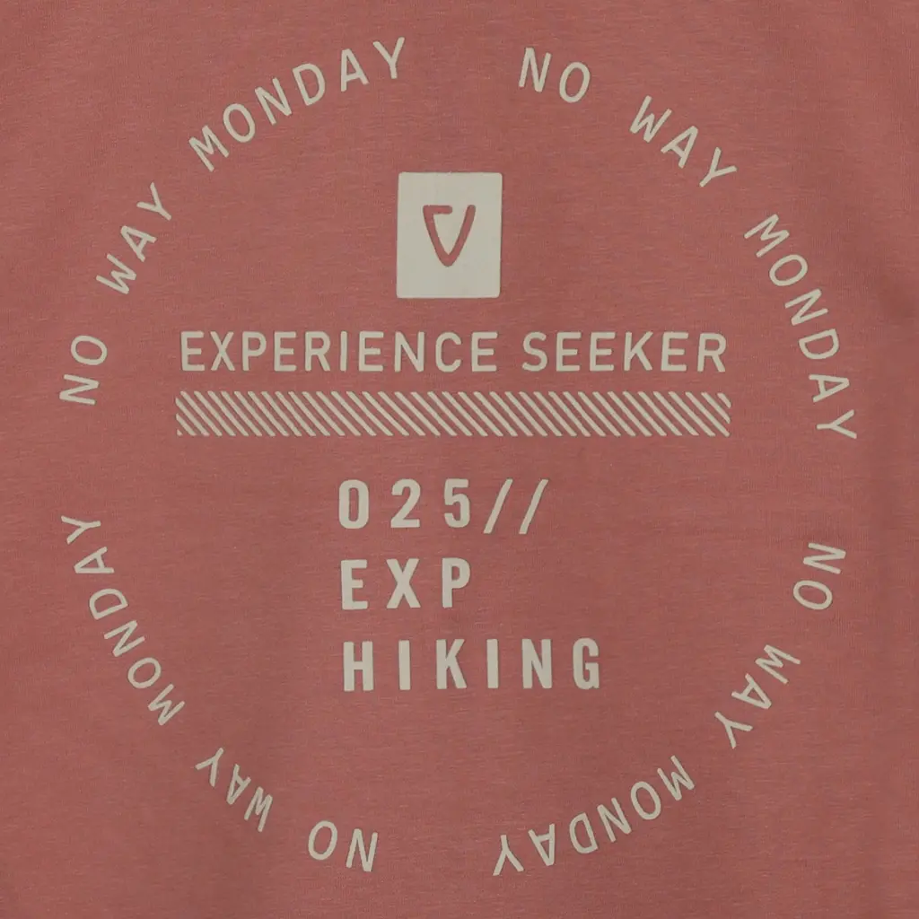 Trui hoodie (faded red)