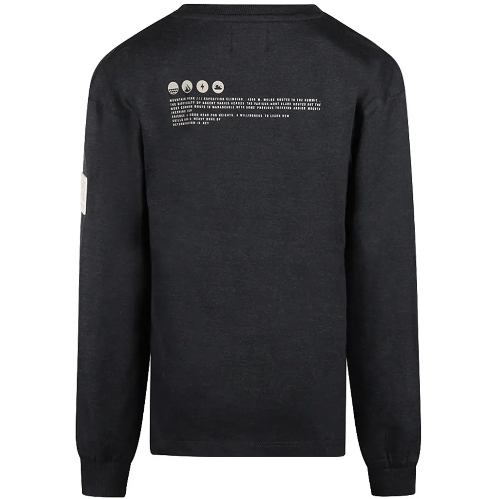 Longsleeve (anthracite)