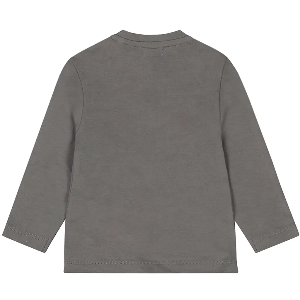 Longsleeve (grey)