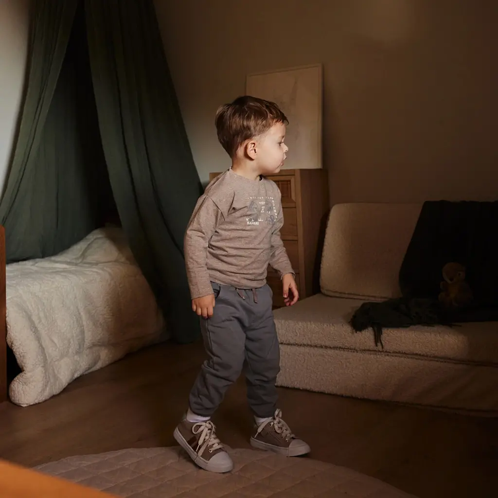 Longsleeve (faded brown)