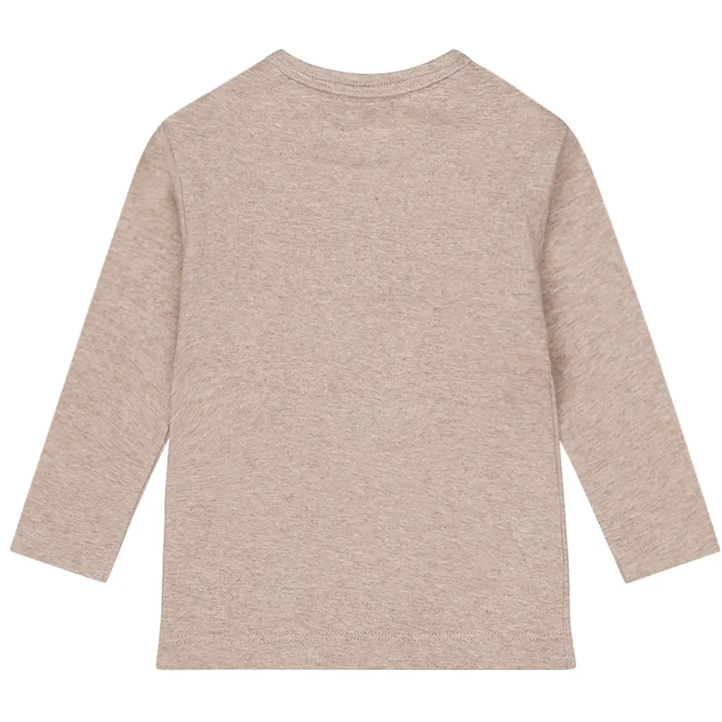 Longsleeve (faded brown)