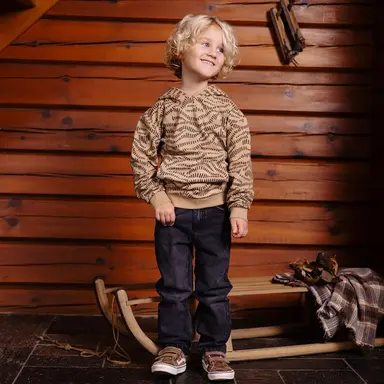 Trui hoodie Vince (aop sand graphic)