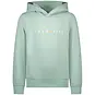 TYGO & Vito Trui hoodie (surf blue)