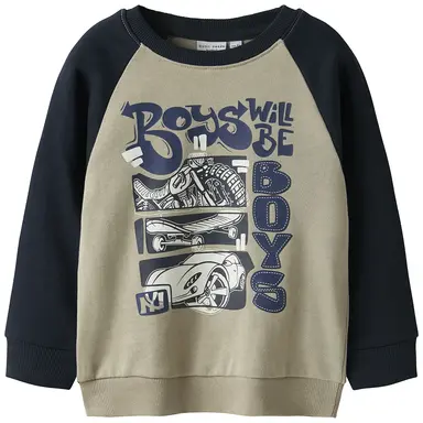 Trui sweater Vildar (island fossil boys)