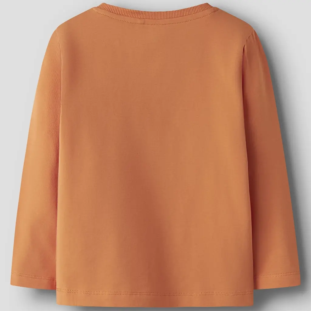 Longsleeve Vux (dusty orange dino)
