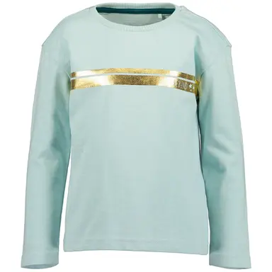 Longsleeve (glacier)