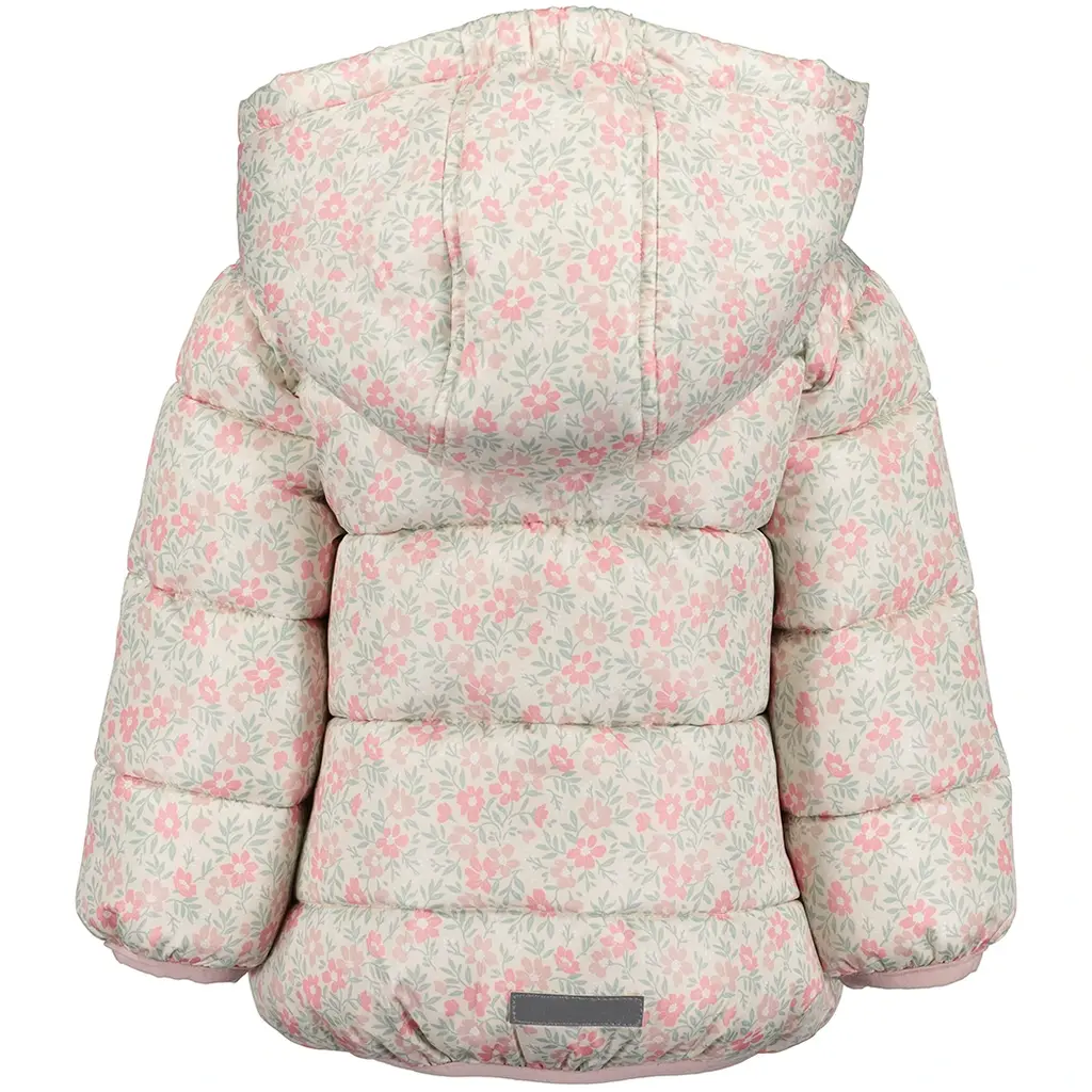 Winterjasje (pebble)