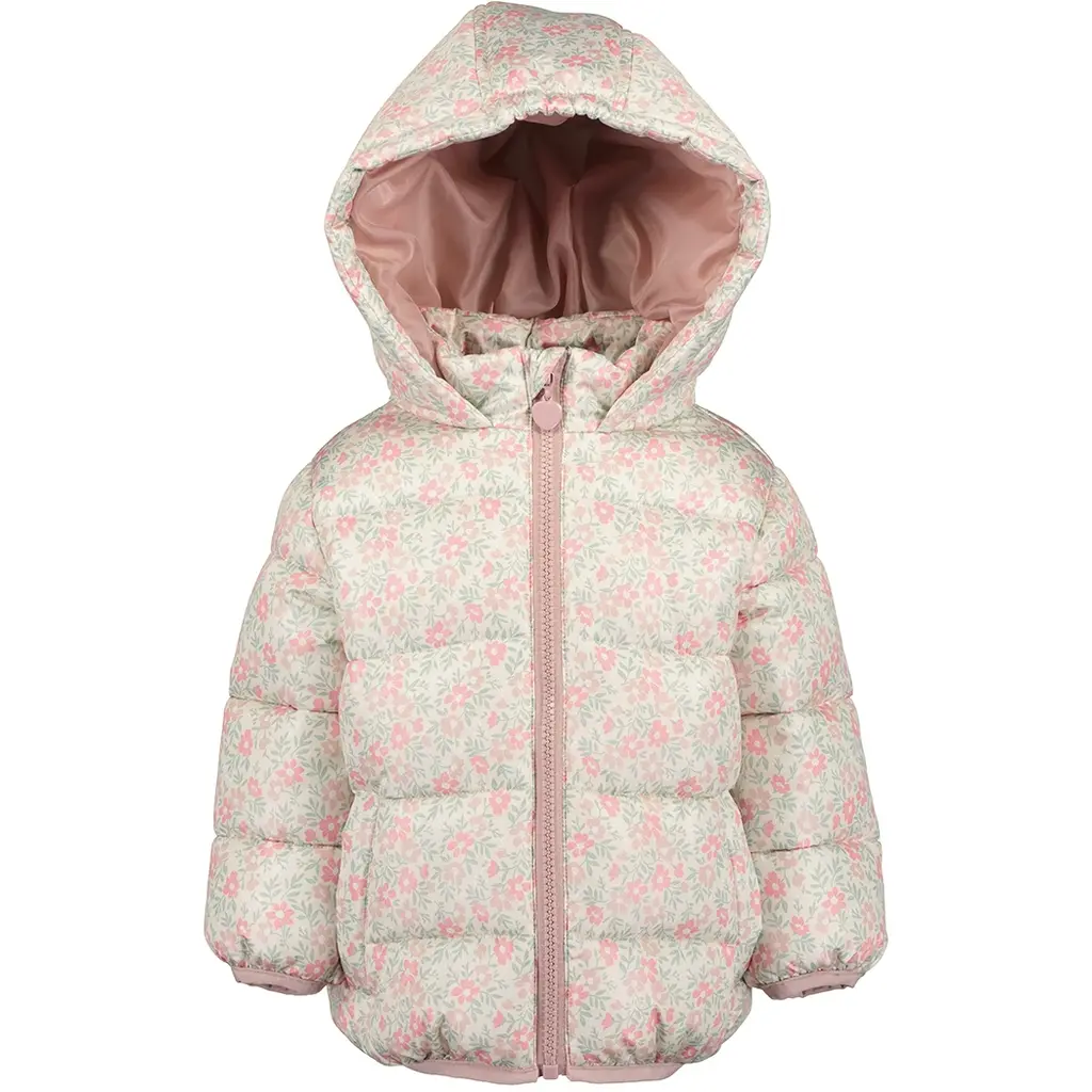 Winterjasje (pebble)