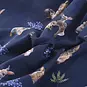 Someone Jurk Dorian (navy)