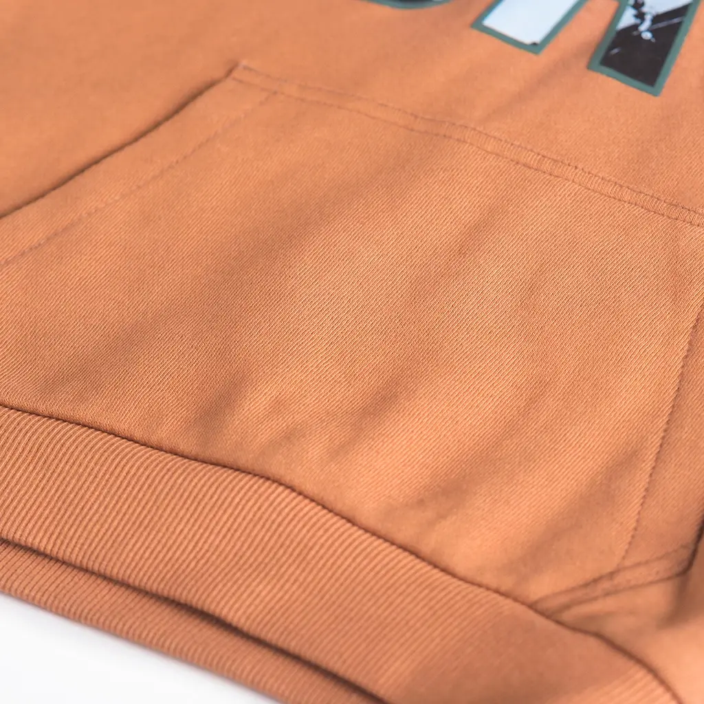 Trui hoodie Awaits (cognac)