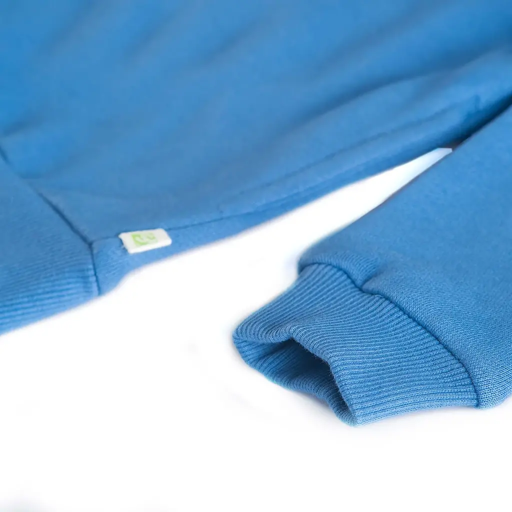 Trui hoodie Jackson (blue)