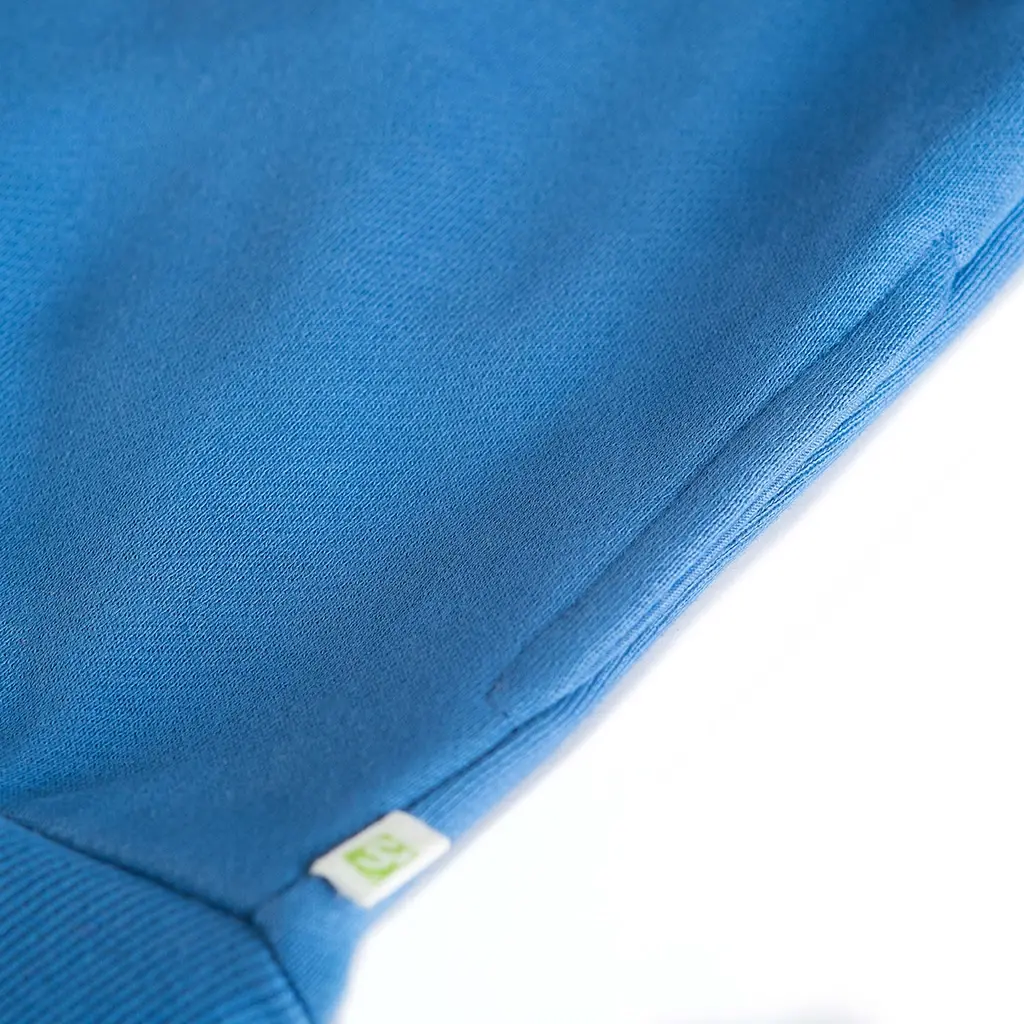 Trui hoodie Jackson (blue)