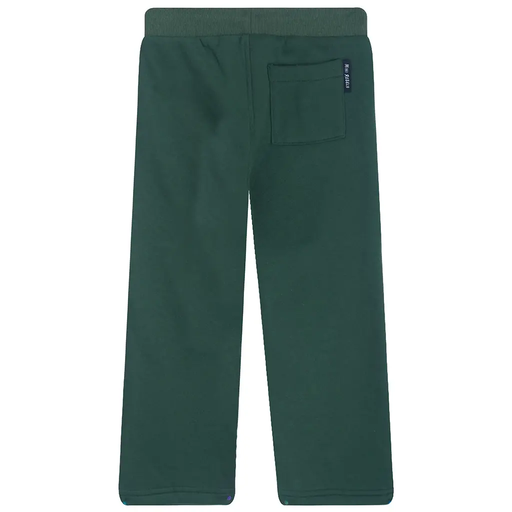 Joggingbroek Biking (green)