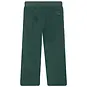 Mini Rebels Joggingbroek Biking (green)