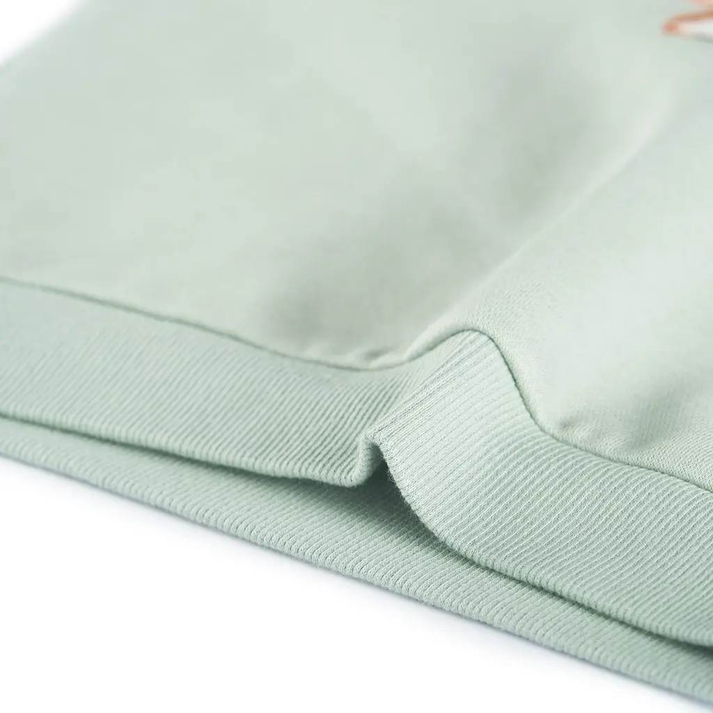 Trui hoodie Corpem (mint)