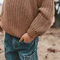 Your Wishes Gebreide trui chunky (chipmunk)